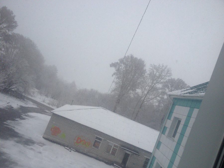 В Беловском районе 30 апреля выпал снег