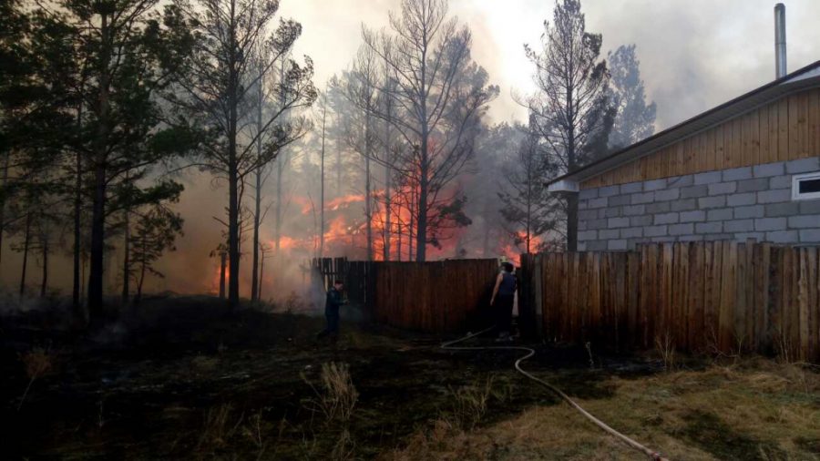 Пострадавшим от пожаров в Сибири выплатят 143 млн рублей