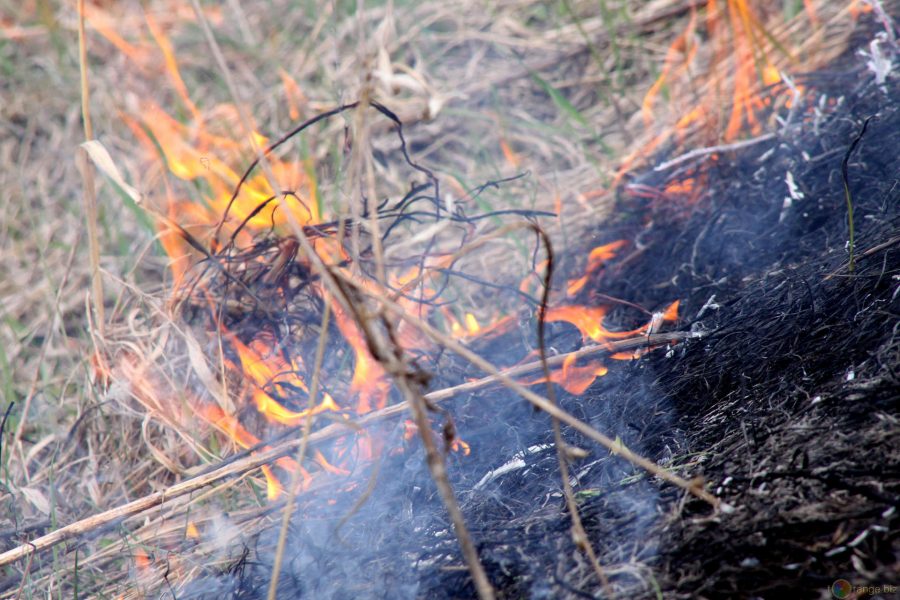 Тело кузбассовца обнаружили на пустыре после тушения горящей травы