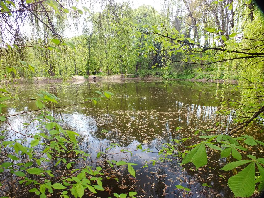 В Кузбассе нашли 20 водоёмов, где опасно купаться