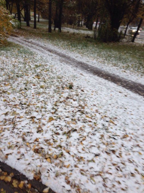 Зима близко: в Прокопьевске выпал первый снег