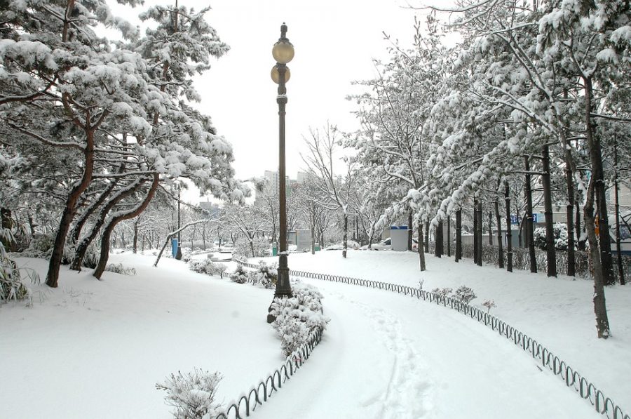 Предстоящая неделя в Кузбассе будет морозной