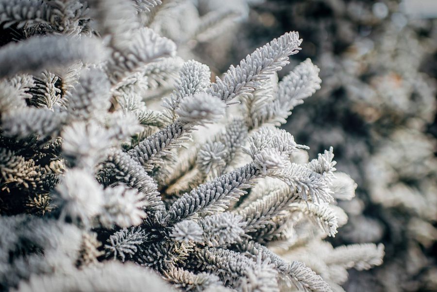В новогодние праздники в Кузбассе синоптики прогнозируют похолодание до -43°С