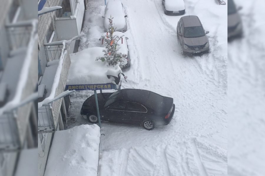 В Кузбассе замечен первый в новом году «король парковки»