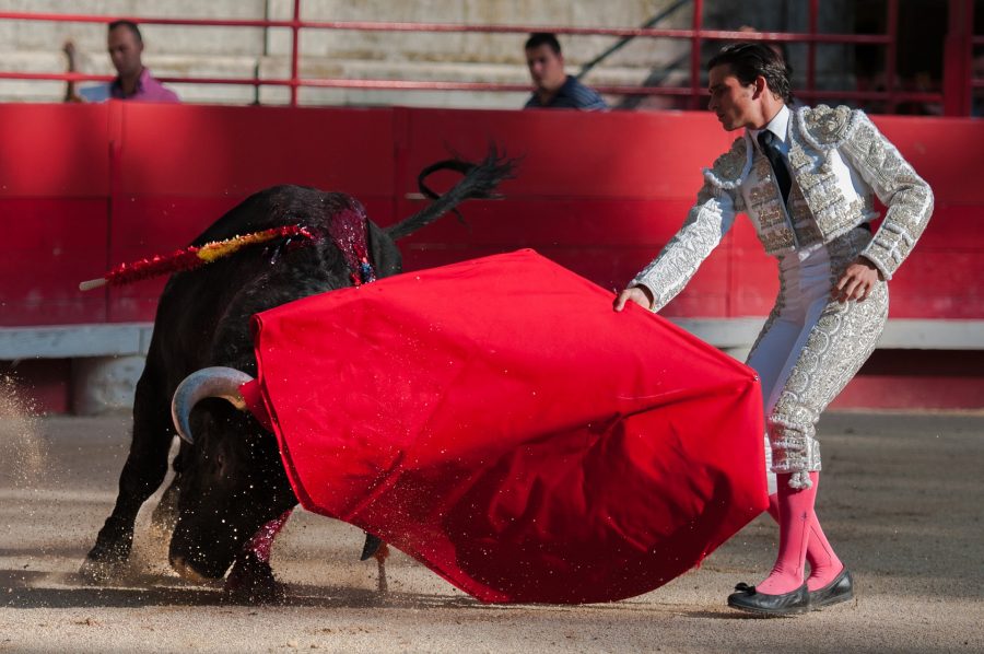 https://j.sibdepo.ru/wp-content/uploads/2020/05/bullfight-2012796_1920-900x598.jpg?x20578