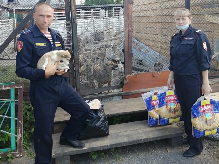 В Кузбассе росгвардейцы спасли и приютили пёсиков