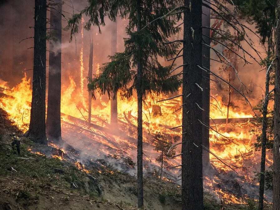 Гроза зажгла лес в Кузбассе