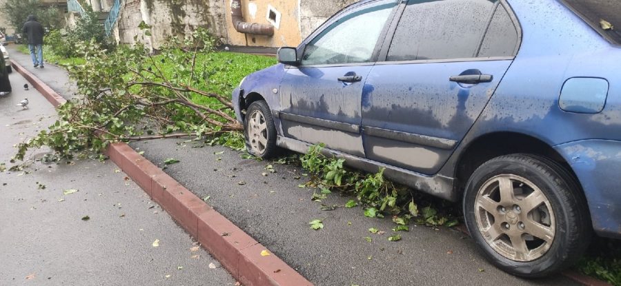 Видео: в Кемерове «король парковки» снёс дерево и крыльцо подъезда